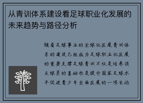 从青训体系建设看足球职业化发展的未来趋势与路径分析
