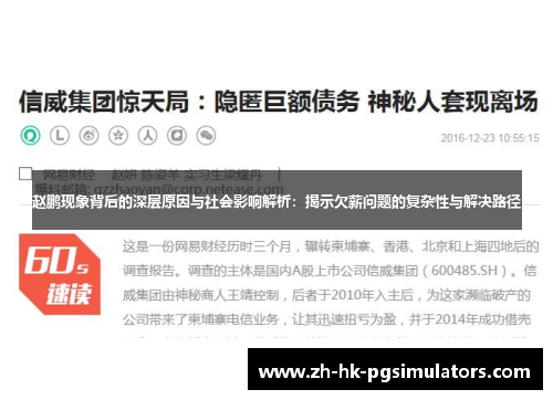 赵鹏现象背后的深层原因与社会影响解析：揭示欠薪问题的复杂性与解决路径