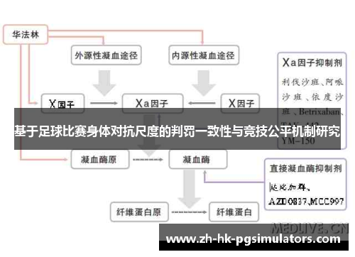 基于足球比赛身体对抗尺度的判罚一致性与竞技公平机制研究 基于足球比赛身体对抗尺度的判罚一致性与竞技公平机制研究