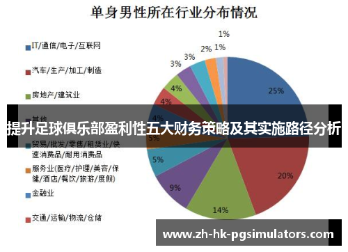 提升足球俱乐部盈利性五大财务策略及其实施路径分析