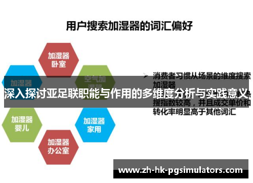 深入探讨亚足联职能与作用的多维度分析与实践意义